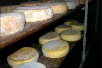 68290 Bourbach-le-Haut.  Ferme-auberge des Buissonnets. : 68,Bourbach-le-Haut,ferme,auberge,les Buissonnets