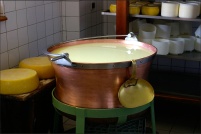 68140 Soultzeren.  Ferme-auberge Soultzermatt. : 68,Soultzeren,ferme,auberge,Soultzermatt