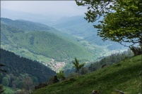 68230 Wasserbourg.  Transhumance de ferme-auberge du Strohberg. : 68,Wasserbourg,ferme,auberge,Strohberg,transhumance