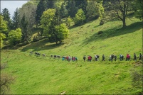 68230 Wasserbourg.  Transhumance de ferme-auberge du Strohberg. : 68,Wasserbourg,ferme,auberge,Strohberg,transhumance