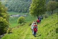 68230 Wasserbourg.  Transhumance de ferme-auberge du Strohberg. : 68,Wasserbourg,ferme,auberge,Strohberg,transhumance