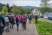 68230 Wasserbourg.  Transhumance de ferme-auberge du Strohberg. Escale à la ferme-auberge du Ried. : 68,Wasserbourg,ferme,auberge,Strohberg,transhumance
