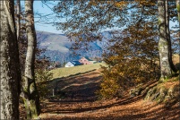 68380 Metzeral.  Ferme-auberge Uff Rain. : 68,Metzeral,ferme,auberge,Uff-Rain