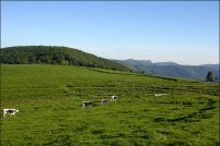 68830 Oderen.  Ferme-auberge du Hannenbrunenn. : 68,Oderen,ferme,auberge,Hannenbrunenn