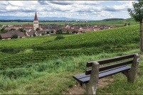 68770-Ammerschwihr.  Le vignoble. : 68,haut-rhin,Ammerschwihr,village,vignoble