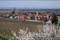 68750 - Bergheim.