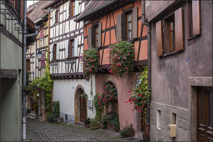 68420-Eguisheim.