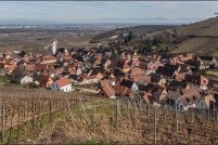68230-Katzenthal.  Le village et le vignoble vus depuis la ruine du Wineck. : 8,haut-rhin,Katzenthal,village,vignoble
