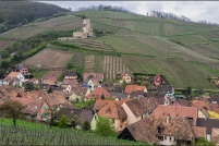 68230-Katzenthal.  Le village dominé par la ruine du Wineck. : 8,haut-rhin,Katzenthal,village,vignoble