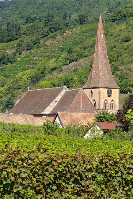 68230-Niedermorschwihr.
