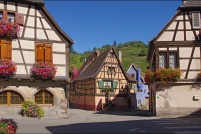 68230 - Niedermorschwihr.