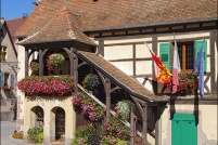 68230-Niedermorschwihr. : 68,haut-rhin,Niedermorschwihr,vignoble