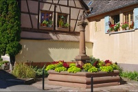 68230-Niedermorschwihr. : 68,haut-rhin,Niedermorschwihr,vignoble