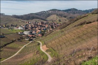 68230-Niedermorschwihr. : 68,haut-rhin,Niedermorschwihr,vignoble