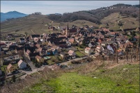 68230-Niedermorschwihr. : 68,haut-rhin,Niedermorschwihr,vignoble
