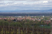68250-Rouffach.