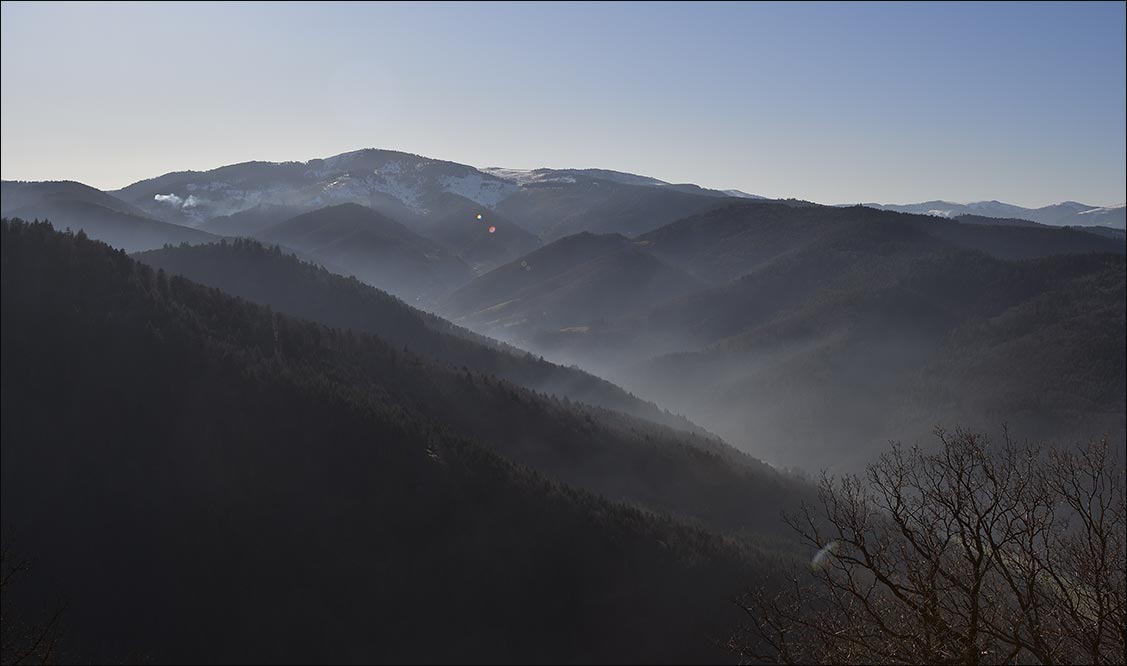 Vallée de Munster.