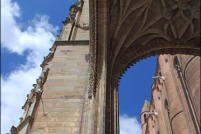 81000-Albi.  Cathédrale Sainte-Cécile.