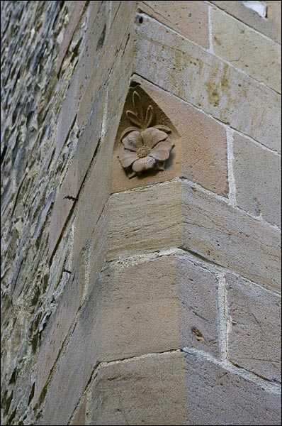 81170-Cordes-sur-ciel.