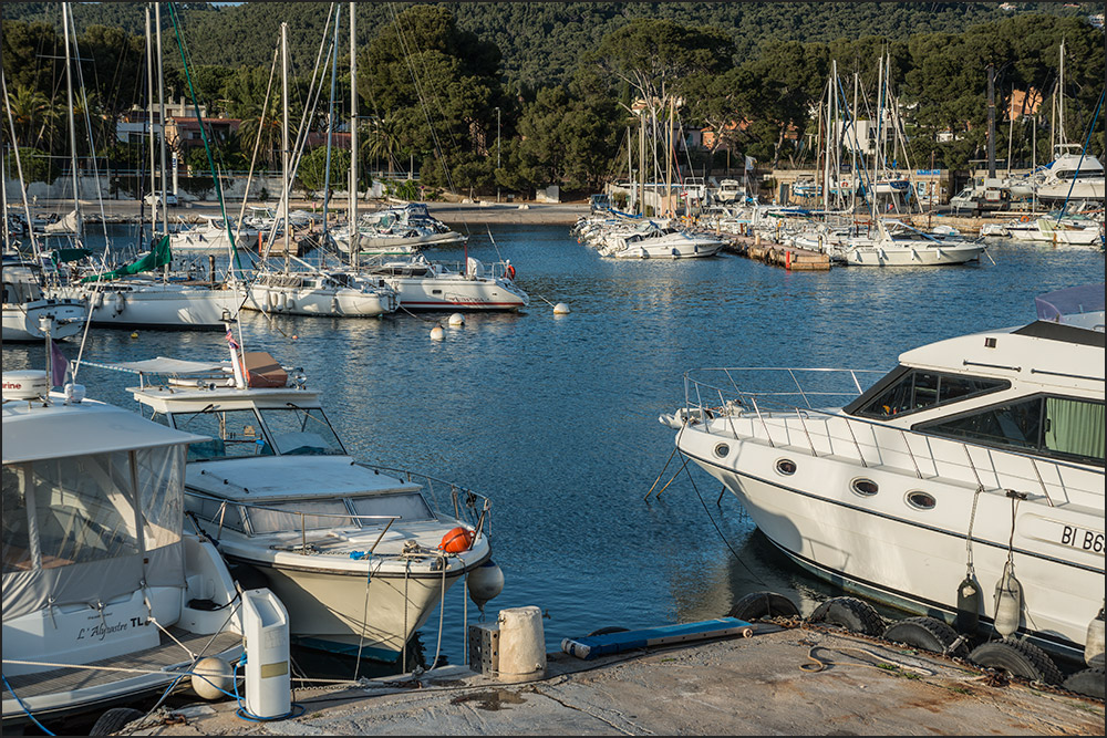 83320-Port de Carqueiranne.