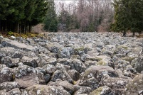 88640-Barbey-Seroux.  Le champ de roches. : roche