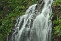 88460-Tendon.  La grande cascade.