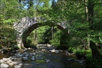 88400-Gérardmer.  Le Pont des fées.