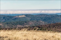 88250-La Bresse.  Mer de Brouillard sur la Lorraine vue du Hohneck le 11-11-2015.