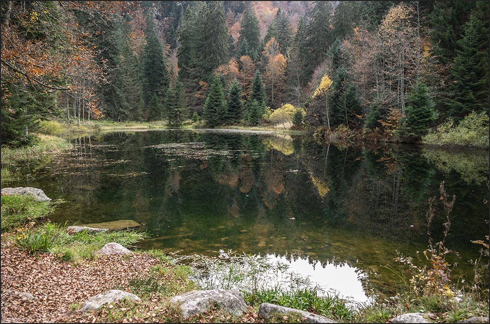 882510-La Bresse.