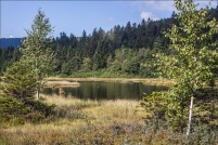 882510-La Bresse.  Lac de Lispach. : 88,La,Bresse,Lac,Lispach