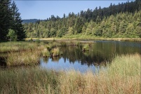882510-La Bresse.  Lac de Lispach. : 88,La,Bresse,Lac,Lispach