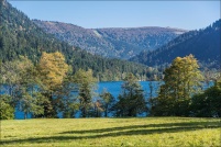 88400-Xonrupt-Longemer.  Lac de Longemer. : 88,Xonrupt,Longemer,lac 