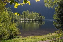 88400-Xonrupt-Longemer.  Lac de Longemer. : 88,Xonrupt,Longemer,lac 