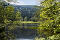 88400-Xonrupt-Longemer.  Lac de Retournemer. : 88,Xonrupt,Longemer,Lac,Retournemer