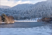 88400-Xonrupt-Longemer.  Lac de Retournemer. : 88,Xonrupt,Longemer,Lac,Retournemer