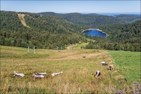 882510-La Bresse.  Lac de la Lande. : 88,La,Bresse,Lac,Lande