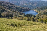 882510-La Bresse.  Lac de la Lande. : 88,La,Bresse,Lac,Lande