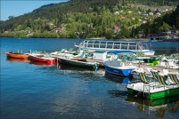 88400-Gérardmer.  Le lac. : 88,Gérardmer,lac,pédalos