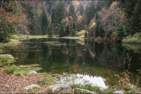 882510-La Bresse.  Lac de Sèchemer. : 88,La,Bresse,Lac,Sèchemer