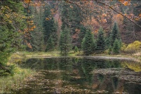 882510-La Bresse.  Lac de Sèchemer. : 88,La,Bresse,Lac,Sèchemer