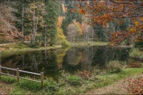 882510-La Bresse.  Lac de Sèchemer. : 88,La,Bresse,Lac,Sèchemer