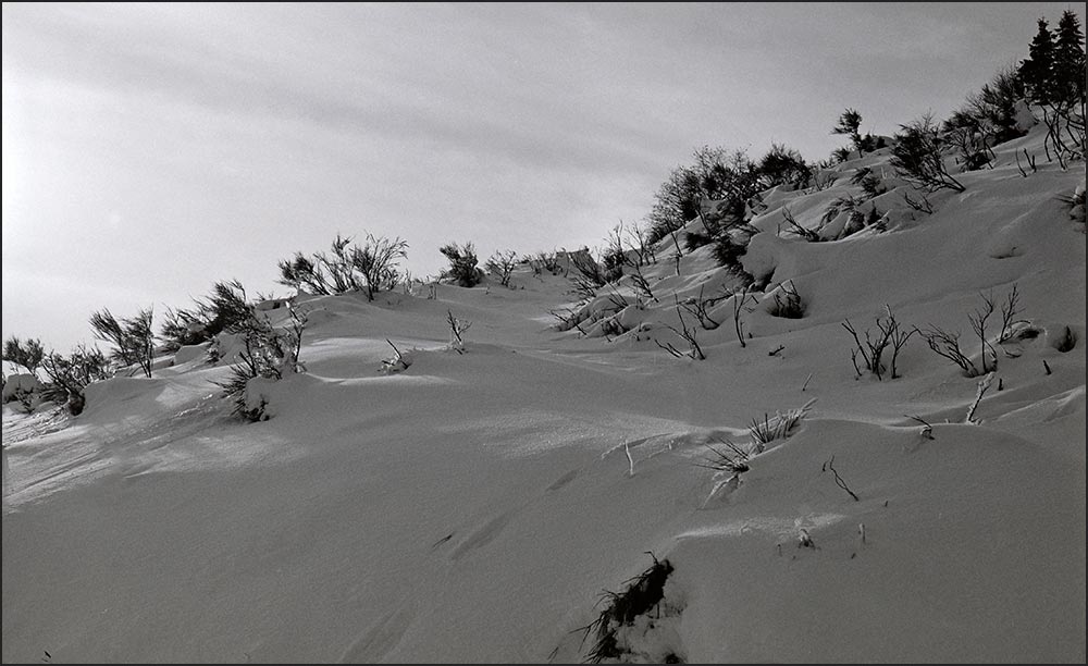 88250-Paysage hivernal du Droit de la Bresse.