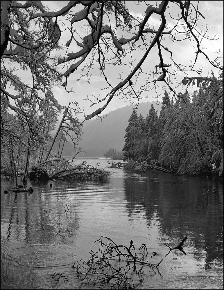 88400-Lac de Longemer en hiver.