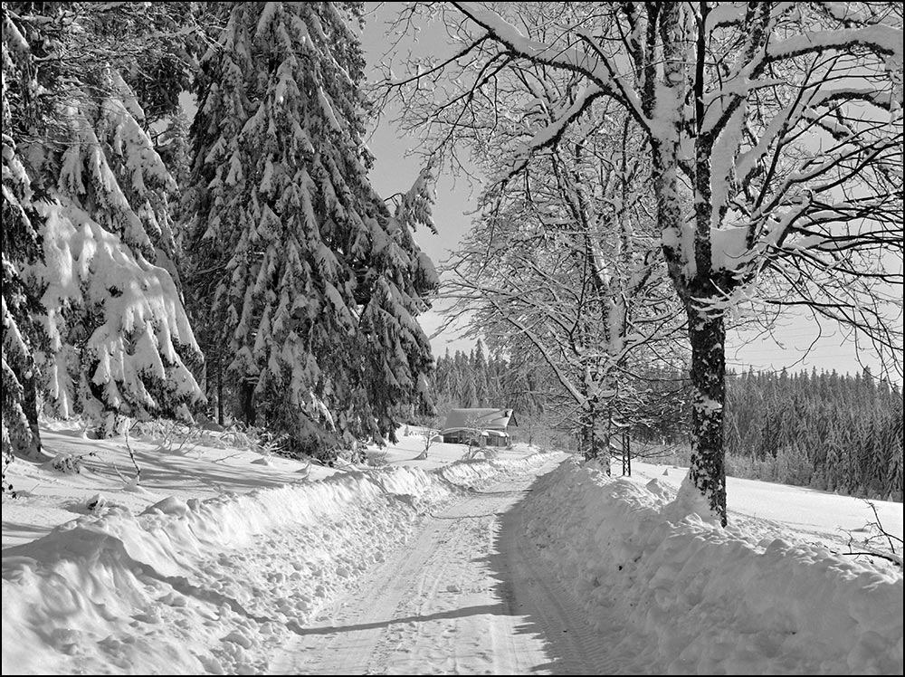 88400- Gérardmer- Paysage hivernal.