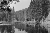 88400-Xonrupt-Longemer - Etang de Belbriette. : étang,belbriette,88,Xonrupt-Longemer 