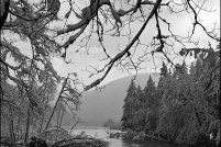88400-Lac de Longemer en hiver. : hiver,neige,lac