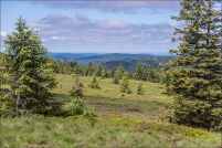 88-Paysages.
