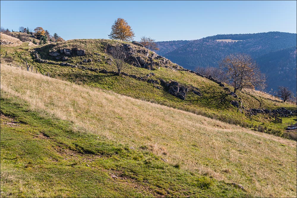 88250 - La Bresse.