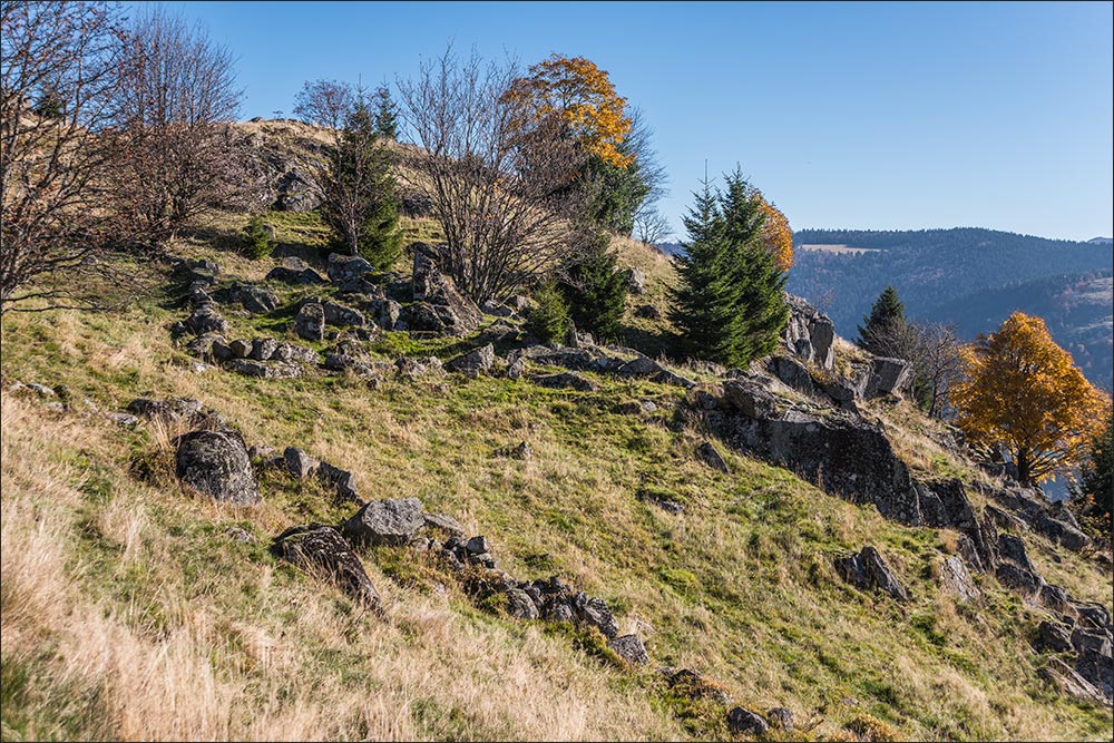 88250 - La Bresse.