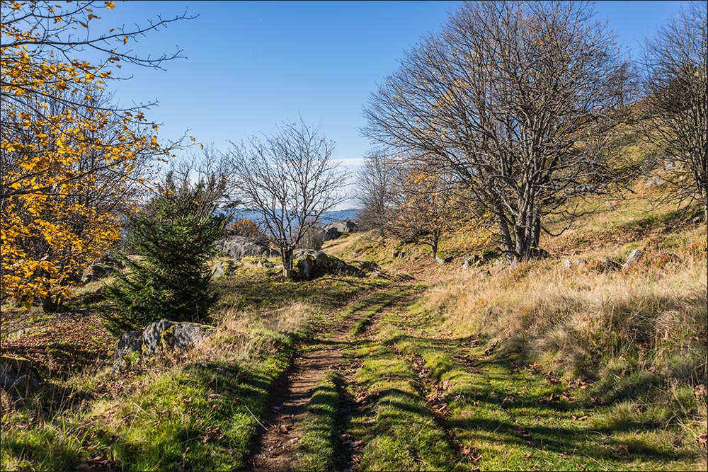 88250 - La Bresse.